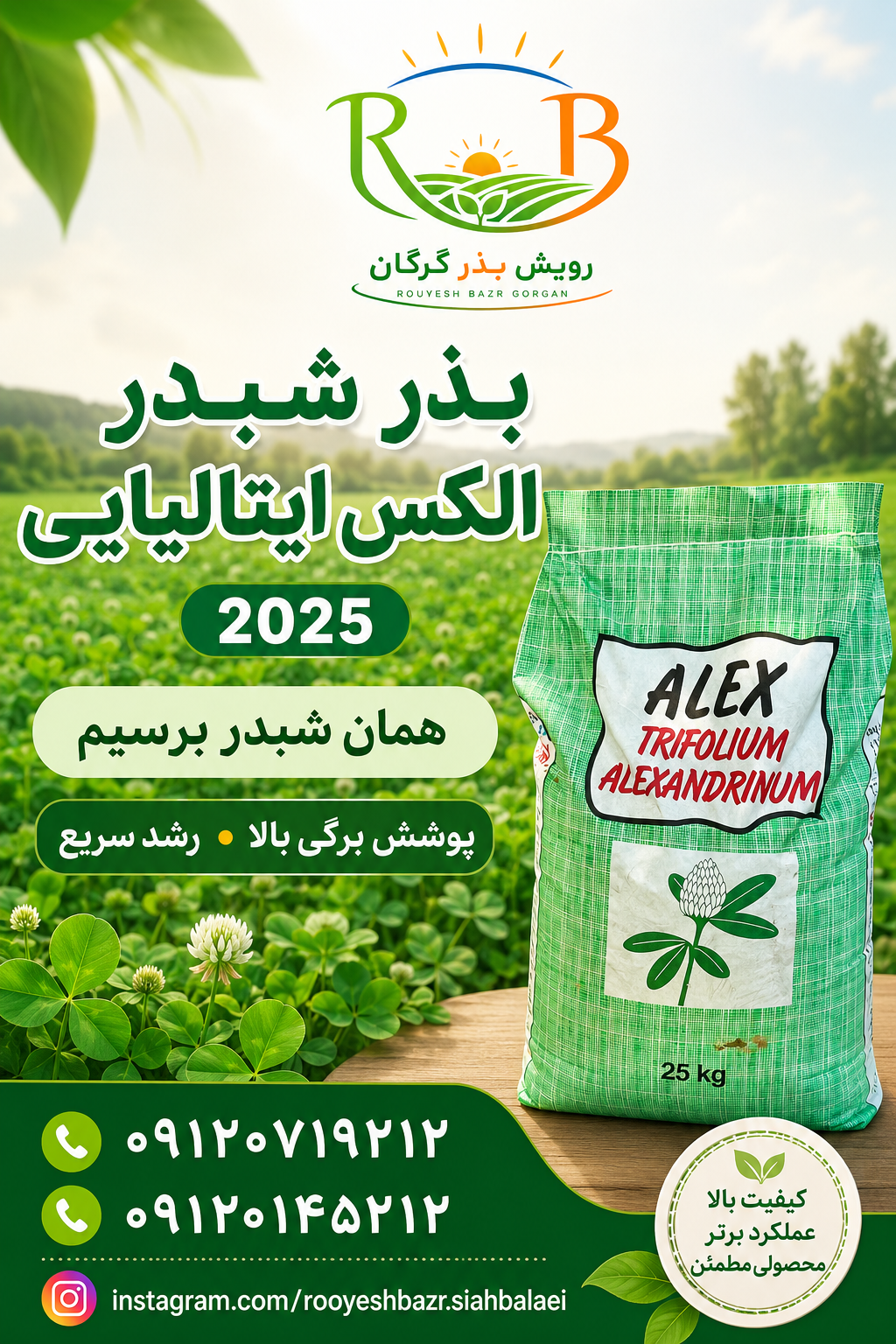 بهترین بذر شبدر